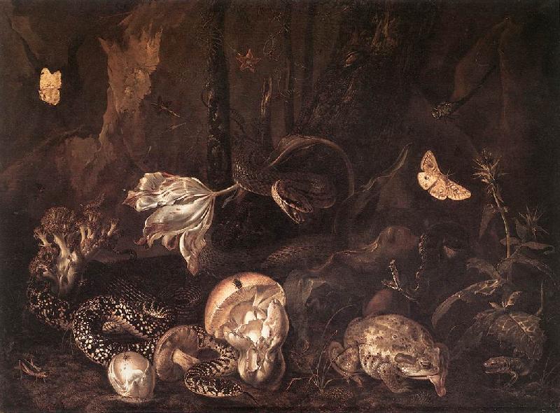 SCHRIECK, Otto Marseus van Still-Life with Insects and Amphibians ar